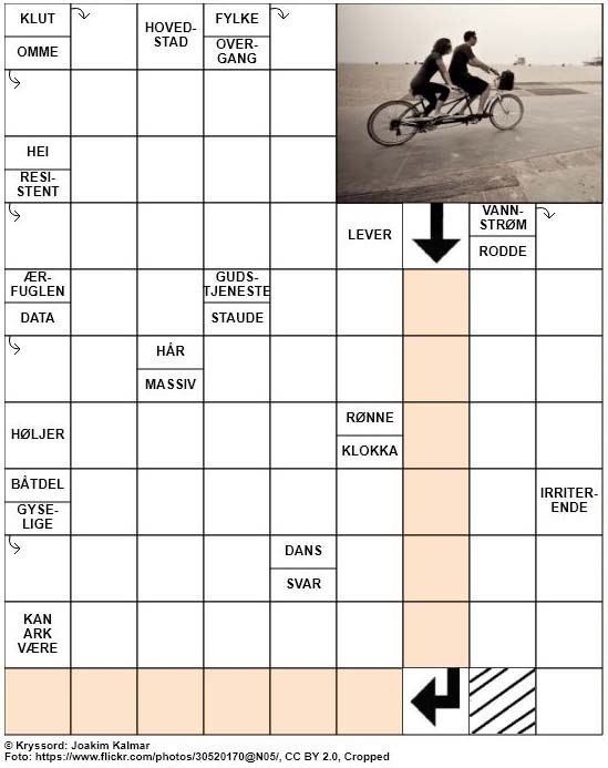 Dagens kryssord – 24. Februar – 2019