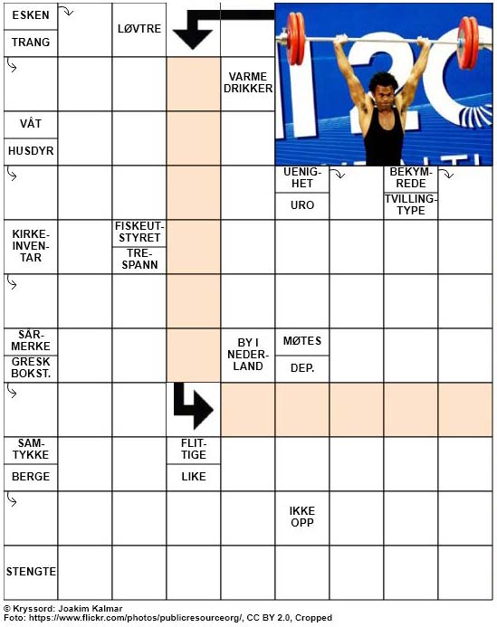 Dagens kryssord – 24. Januar – 2019