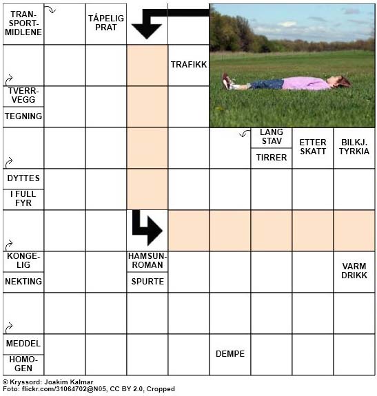 Dagens kryssord - 24. Juli - 2018