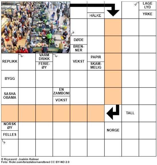 Dagens kryssord - 24. November - 2017
