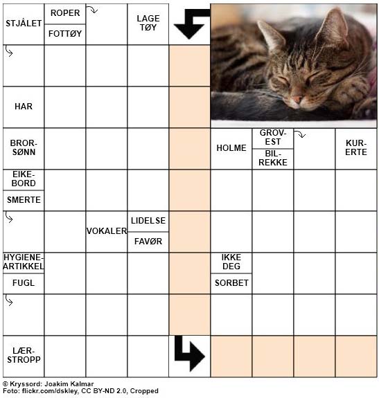 Dagens kryssord - 24. September - 2018