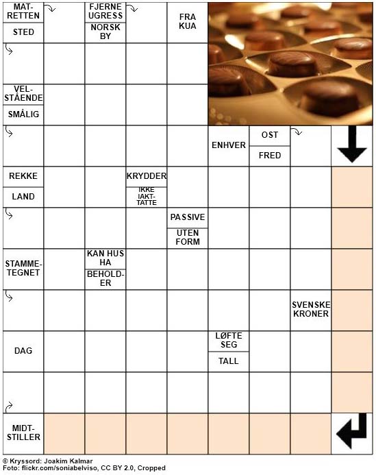 Dagens kryssord – 25. Desember – 2018