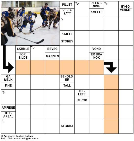 Dagens kryssord - 25. Februar - 2018