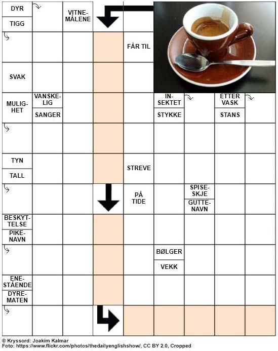 Dagens kryssord – 25. Februar – 2019