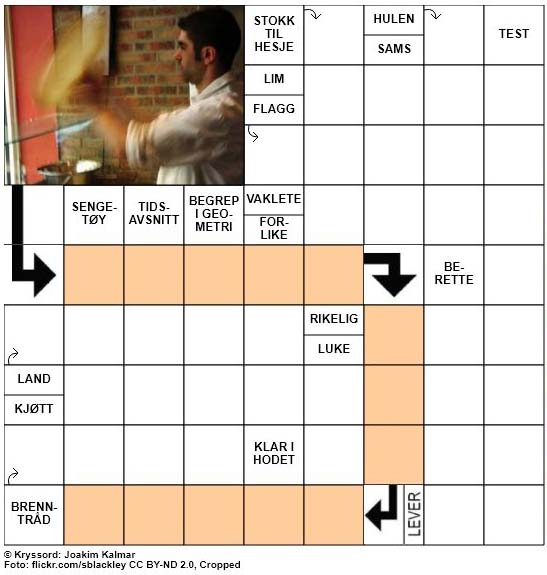Dagens kryssord - 25. Januar - 2018