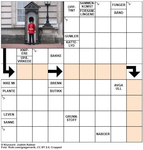 Dagens kryssord - 25. Juli - 2018