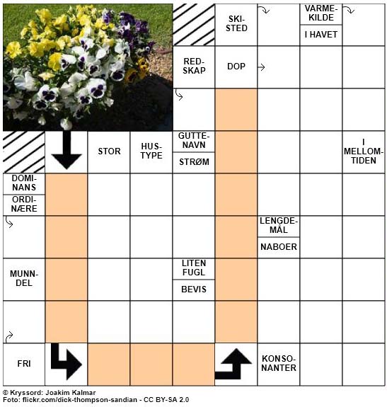 Dagens kryssord - 26. April - 2018