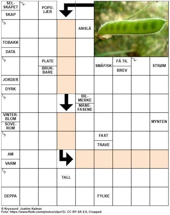 Dagens kryssord – 26. April – 2019