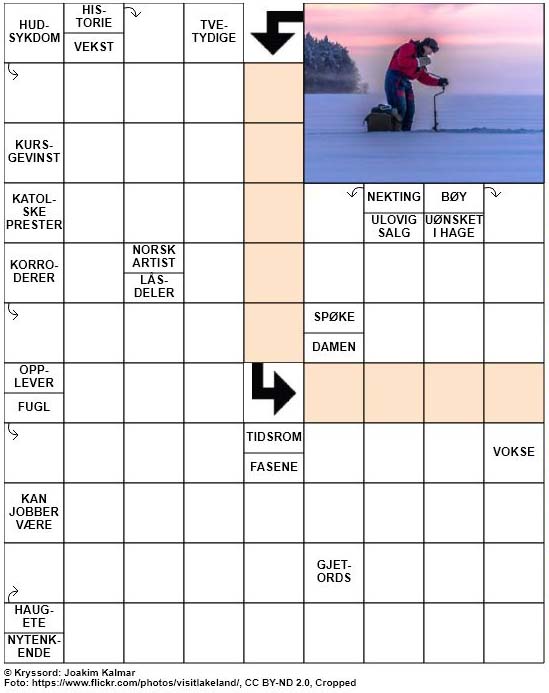 Dagens kryssord – 26. Februar – 2019