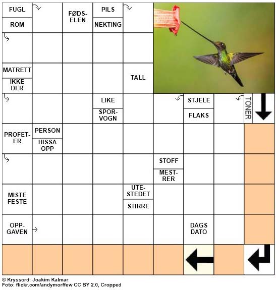 Dagens kryssord - 26. Januar - 2018