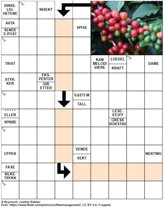 Dagens kryssord – 26. Januar – 2019