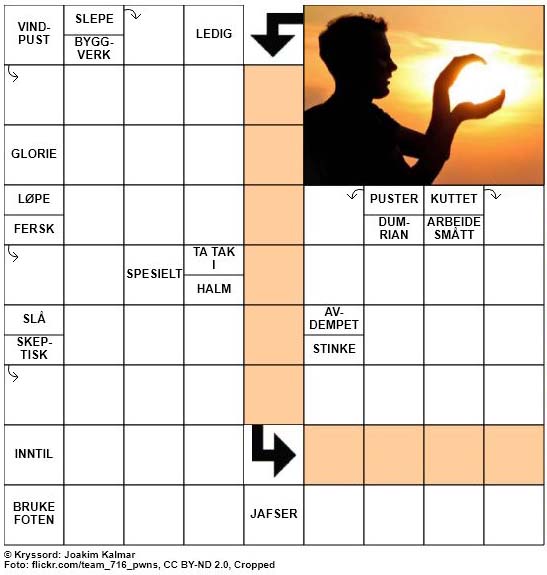 Dagens kryssord - 26. Juni - 2018