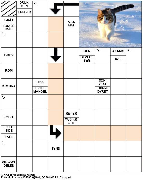 Dagens kryssord – 26. November – 2018