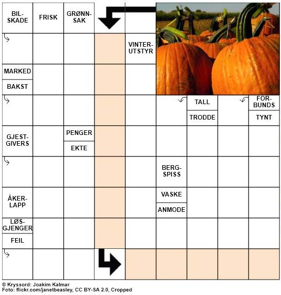 Dagens kryssord – 26. Oktober – 2018