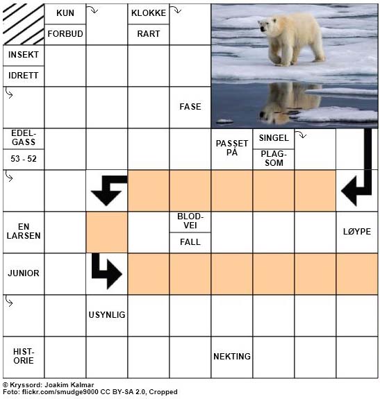 Dagens kryssord - 27. Januar - 2018
