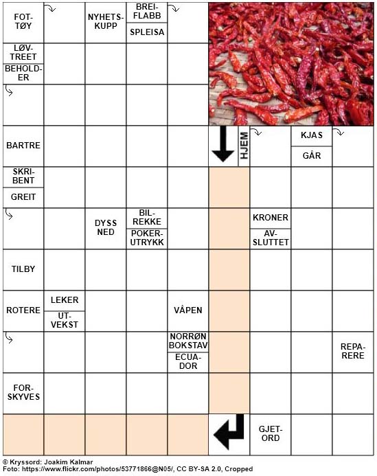 Dagens kryssord – 27. Januar – 2019