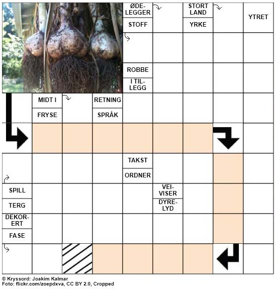 Dagens kryssord - 27. Juli - 2018