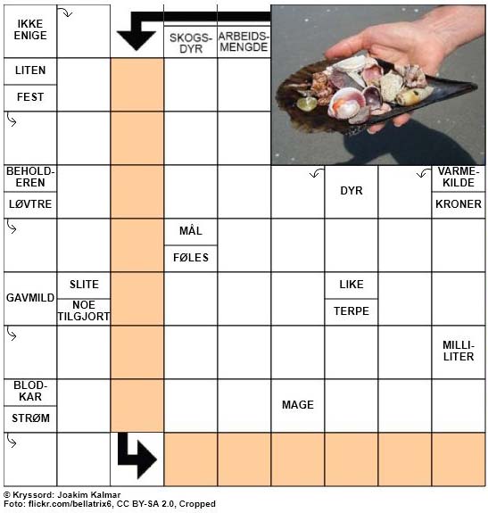 Dagens kryssord - 27. Mai - 2018