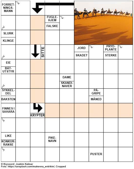 Dagens kryssord – 27. Mai – 2019