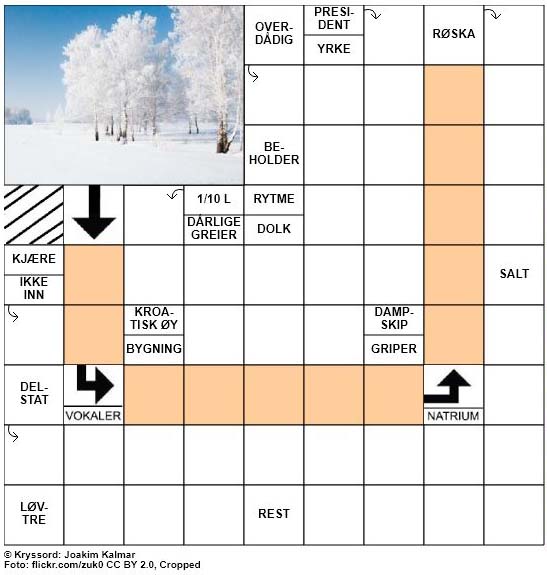 Dagens kryssord - 27. November - 2017