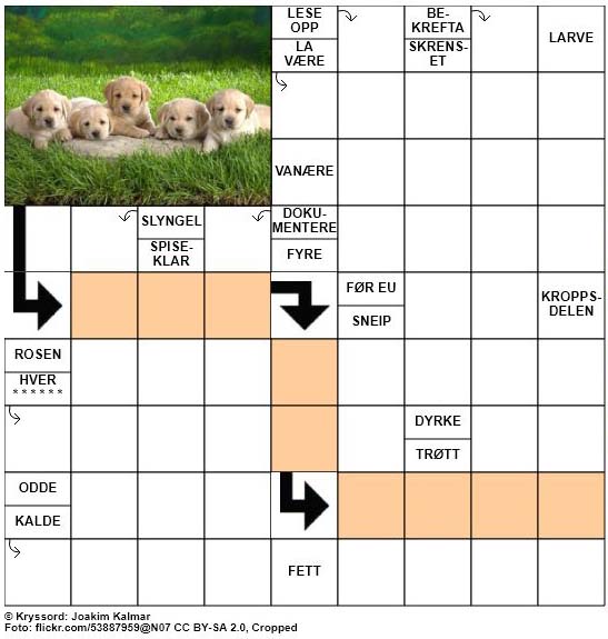 Dagens kryssord - 28. Januar - 2018