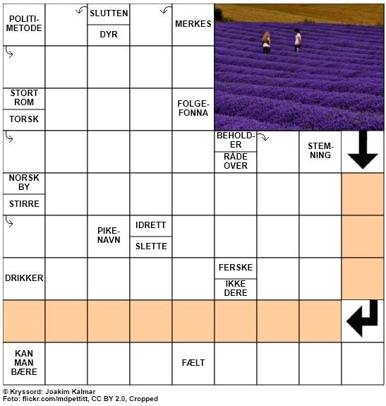 Dagens kryssord - 28. Mai - 2018