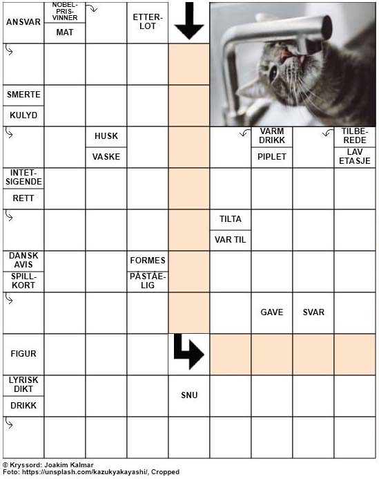 Dagens kryssord – 28. Mai – 2019