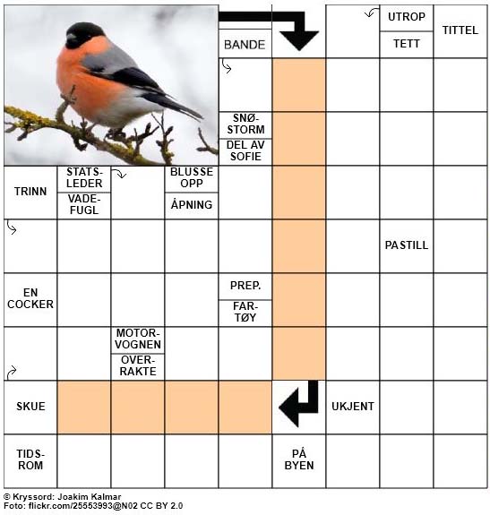 Dagens kryssord - 28. November - 2017