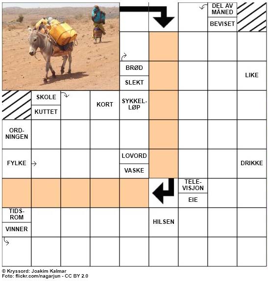 Dagens kryssord - 29. April - 2018