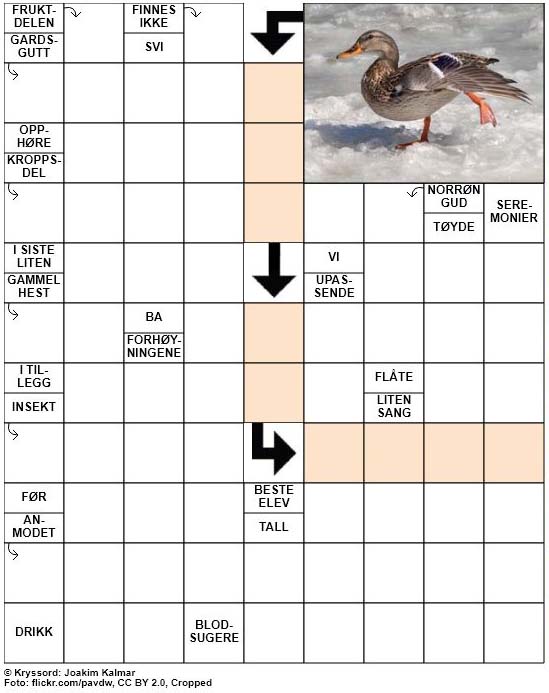 Dagens kryssord – 29. Desember – 2018