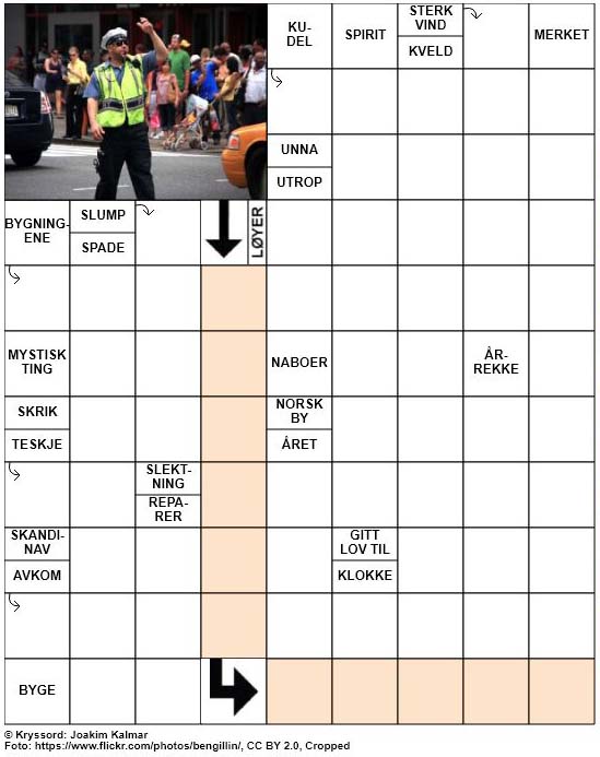 Dagens kryssord – 29. Januar – 2019