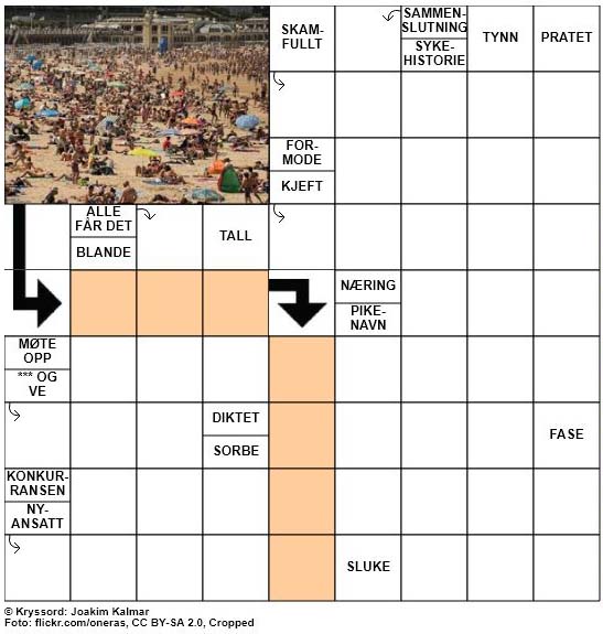 Dagens kryssord - 29. Juni - 2018