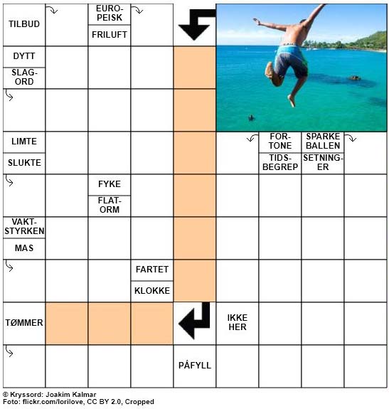 Dagens kryssord - 29. Mai - 2018
