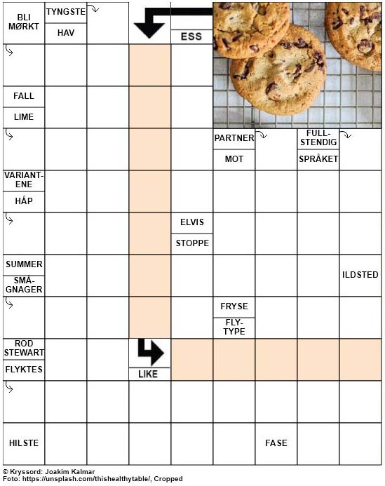 Dagens kryssord – 29. Mai – 2019