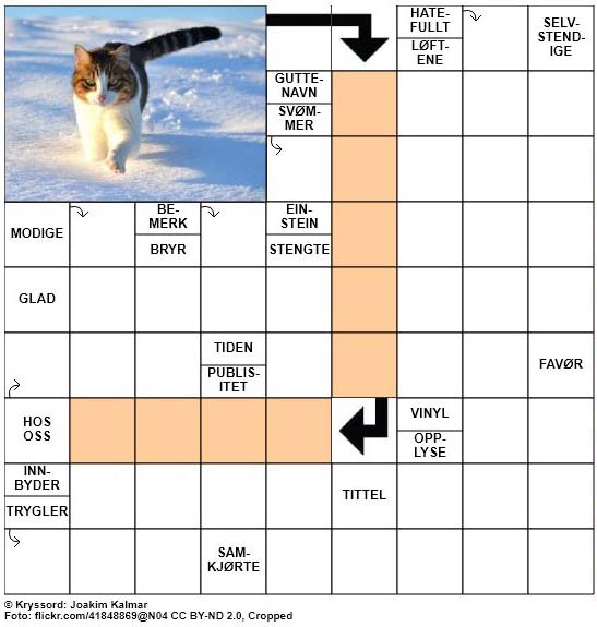 Dagens kryssord - 29. November - 2017