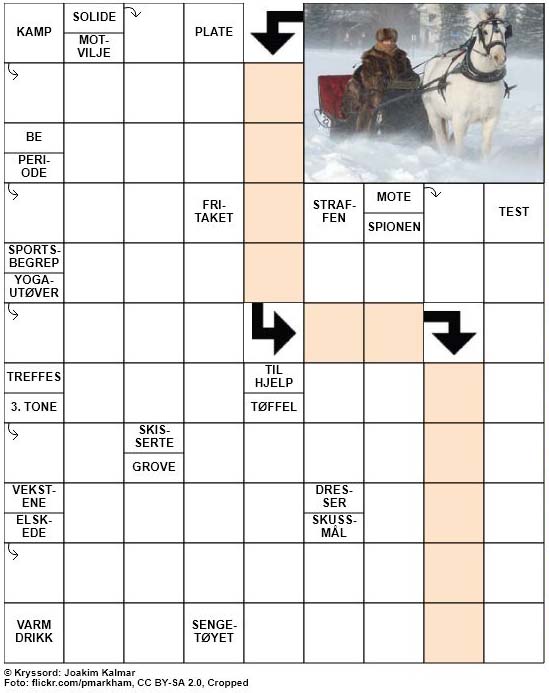 Dagens kryssord – 29. November – 2018