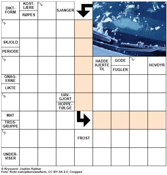 Dagens kryssord - 29. September - 2018