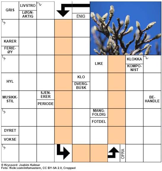 Dagens kryssord - 3. April - 2018