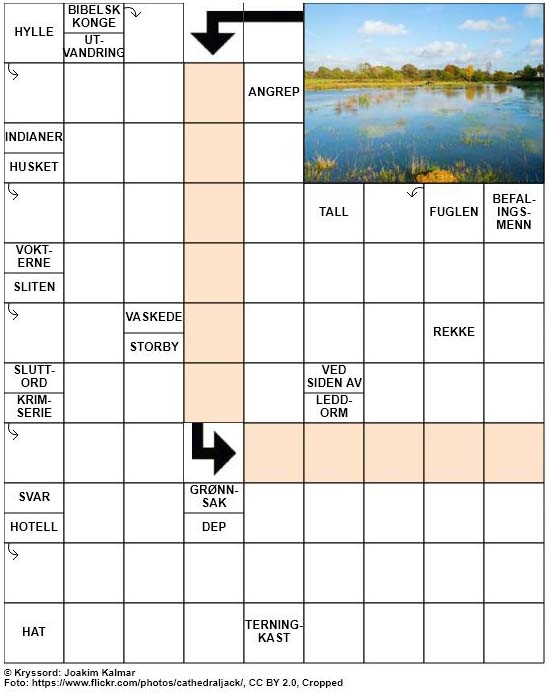 Dagens kryssord – 3. April – 2019