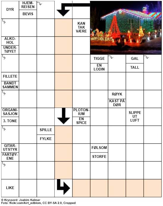 Dagens kryssord – 3. Desember – 2018