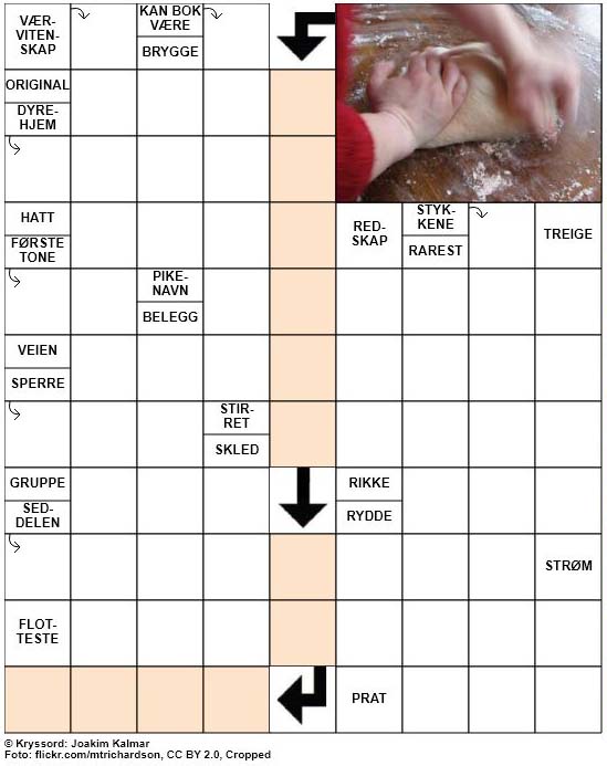 Dagens kryssord – 3. Januar – 2019