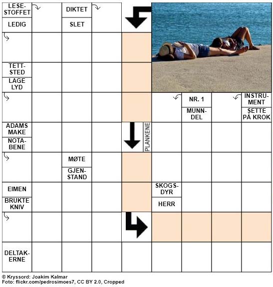 Dagens kryssord - 3. Juli - 2018