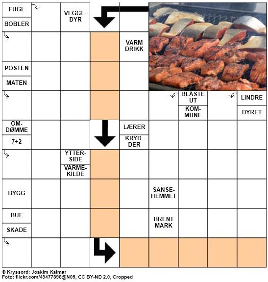 Dagens kryssord - 3. Juni - 2018