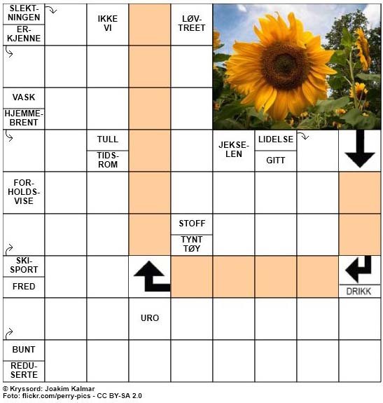 Dagens kryssord - 3. Mai- 2018