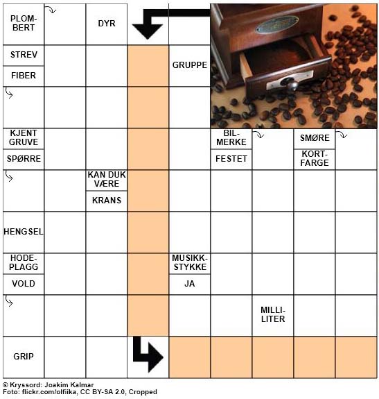 Dagens kryssord - 3. Mars - 2018