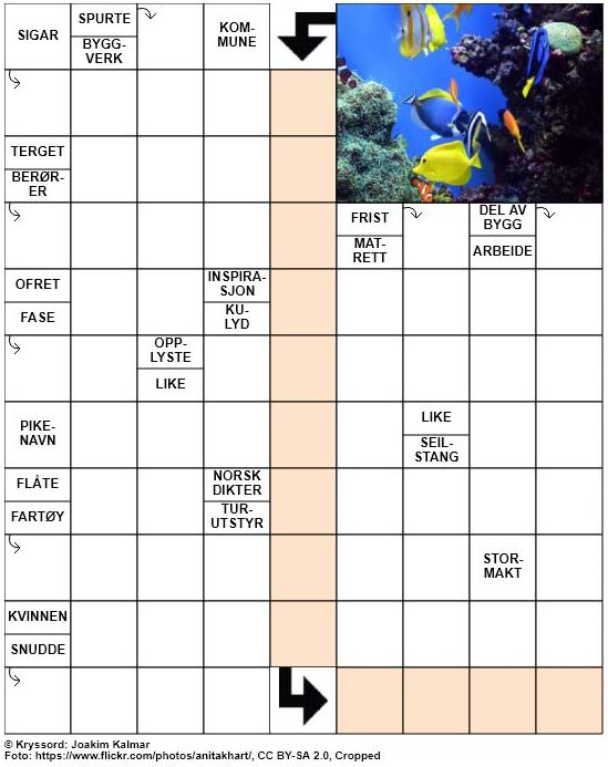 Dagens kryssord – 3. Mars – 2019
