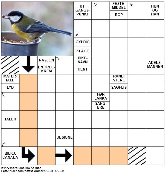 Dagens kryssord - 3. November - 2017