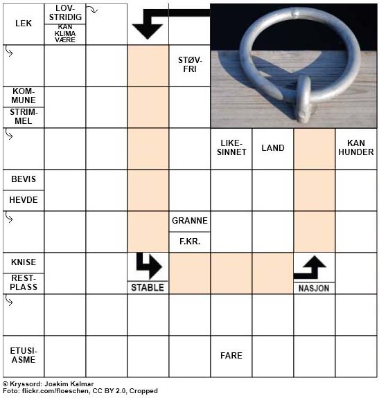 Dagens kryssord – 3. November – 2018