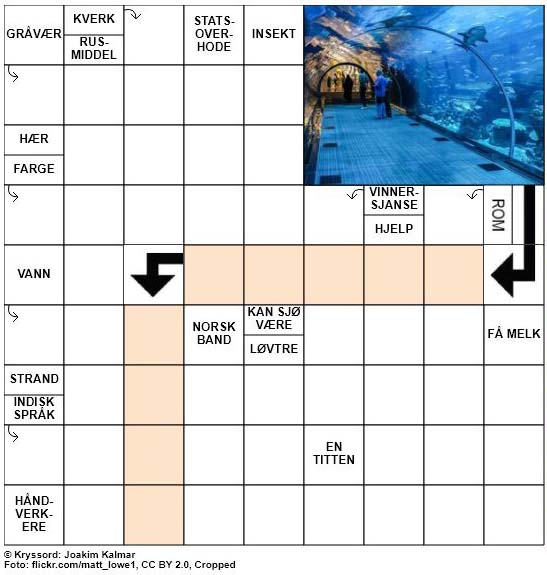 Dagens kryssord - 3. September - 2018