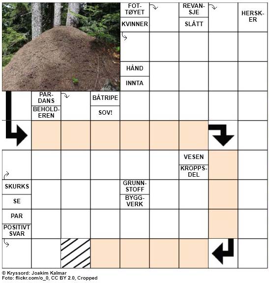 Dagens kryssord - 30. August - 2018